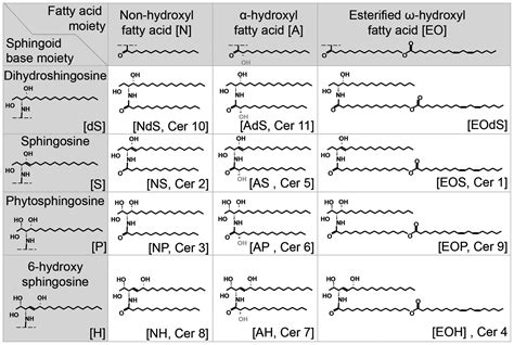 Intercellular And Intracellular Functions Of Ceramides And Their