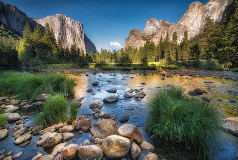 Top National Parks In California California Trip Ideas Viator