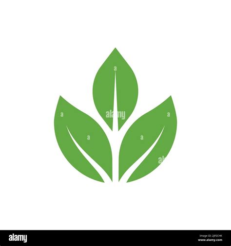 Hoja verde naturaleza ecología elemento vector icono icono de hoja de