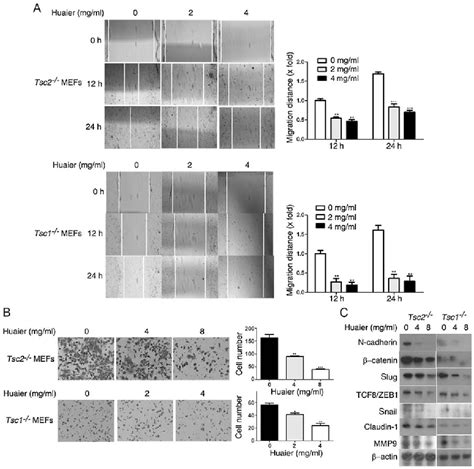 Figure From Huaier Aqueous Extract Inhibits Proliferation And