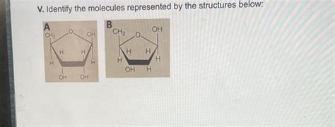Solved V. Identify the molecules represented by the | Chegg.com 