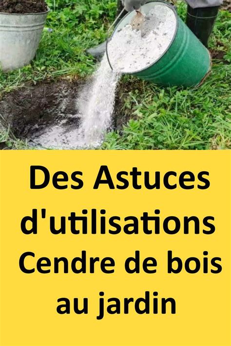 Cendre de bois au jardin 5 secrets à connaître Cendres de bois