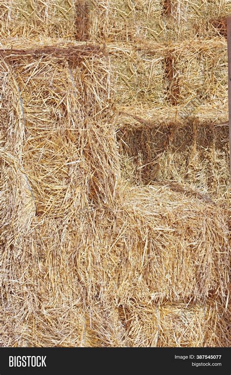 Hay Texture Background Image And Photo Free Trial Bigstock