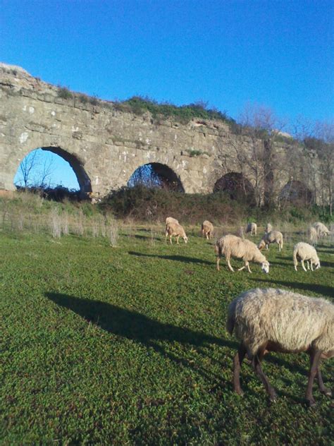 Off the Beaten Path in Rome – Aqueduct Park | Italy Translated