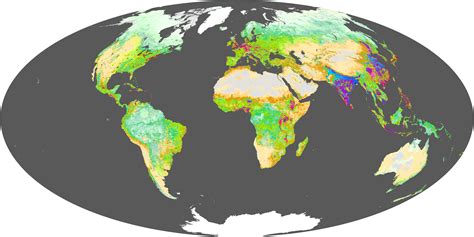 Human Ecosystems