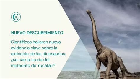 Cient Ficos Hallaron Nueva Evidencia Clave Sobre La Extinci N De Los