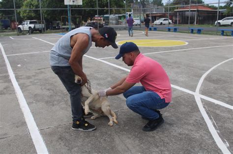 Exitosa Gira De Salud Sobre Ruedas Despacho De La Primera Dama Y El