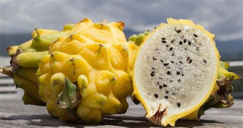 Cu Les Son Los Beneficios De La Pitahaya El Oriente Ecuador