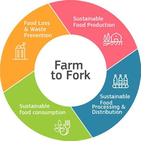 Strategia From Farm To Fork Dal Produttore Al Consumatore” Gal