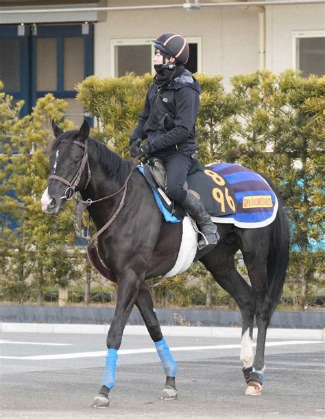 【セントポーリア賞】ドゥレッツァ 父に続く 新馬からコンビのルメール大絶賛「能力高い」― スポニチ Sponichi Annex ギャンブル