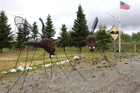 A Picture Of The Giant Mosquito Statues At Delta Junction Alaska By