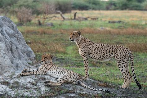 7 Days Tribes Of Northen Namibia Cultural Safari Sani Holidays