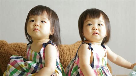 identical twins dont  identical dna
