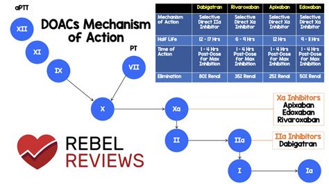 Mechanism Of DOACs REBEL EM Emergency Medicine Blog