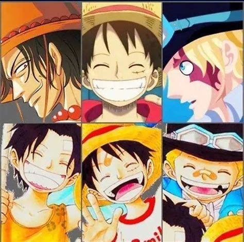 One Piece Luffy's Brother