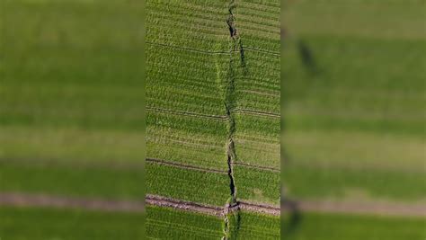 Turkey earthquake: Aerial footage showing crack in fault line ...