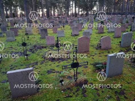 Gravstenar P Skogskyrkog R Av User Mostphotos