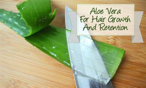 Use The Aloe Vera Plant For Hair Growth And Retention
