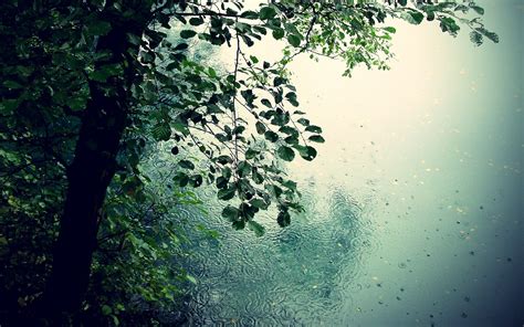 Rainy Window Desktop Wallpaper (69+ images)