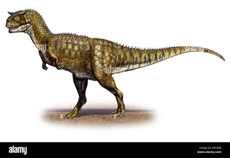 Carnotaurus Sastrei Un Dinosaurio De La Era Prehist Rica Desde Finales