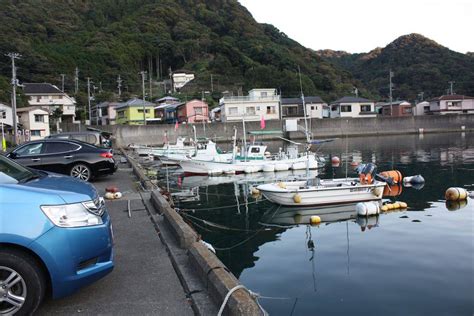 安良里港の詳細情報伊豆の釣果速報、おすすめ釣りスポットを詳しく写真で紹介