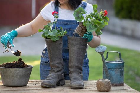 Premium Photo Midsection Of Woman Holding Flower Pot