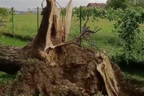 VIDEO Pogledajte Kako Je Oluja Poharala Samobor I Okolicu To Je