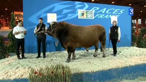 Sia 2015 Le Concours Des Taureaux De Race Aubrac Youtube