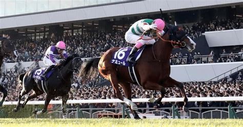 4 2 3的中🎯東京大賞典競走 Gi 地方競馬 大井競馬予想 20241229｜ひまわり厨フォロバ100％