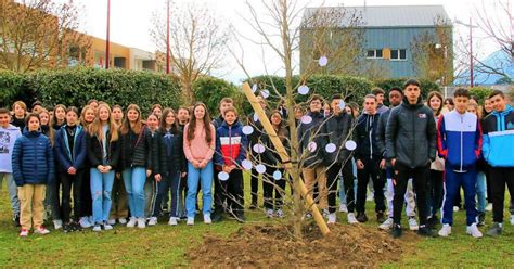 Varces Allières et Risset Collège Jules Verne les élèves ont