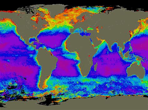 Warm Seas Cold Seas Ocean Currents Teaching Resources