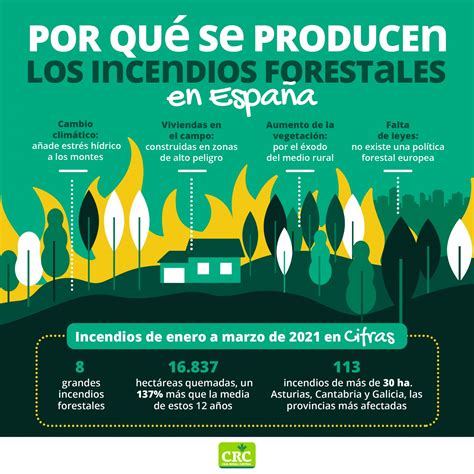 Así Son Los Incendios Forestales En España Los Datos De Un Problema