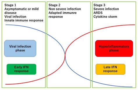 Ijms Free Full Text Inflammation Causes Exacerbation Of Covid