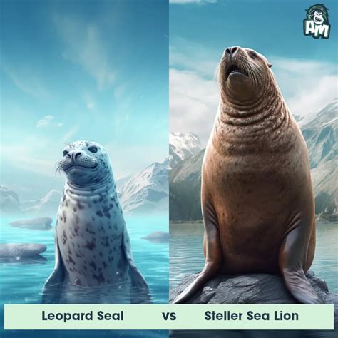 Leopard Seal vs Polar Bear: See Who Wins | Animal Matchup