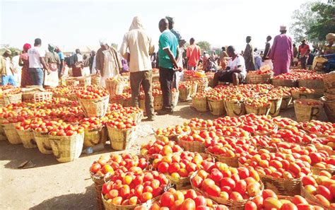 Prices Of Perishable Items Crash In Yobe Borno Adamawa Daily Trust