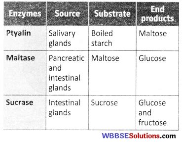 Wbbse Class Life Science Solutions Chapter Nutrition Wbbse