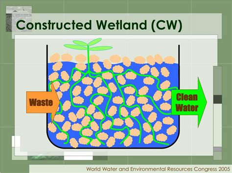 PPT Enhancing O 2 Transfer In Subsurface Flow Constructed Wetlands