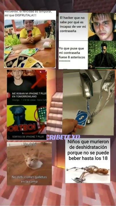 Memes Insanos6 Momazosdiego Momazosenespañol Memes Wtf Momentoxd