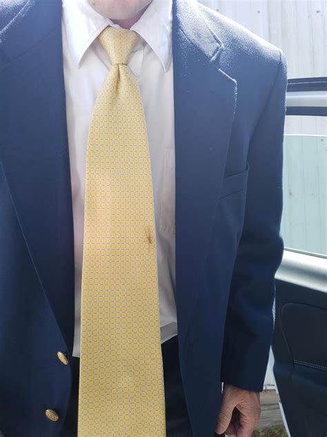 This spiderbro was on my boyfriend on our way to a funeral today. He