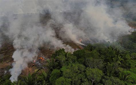 Amazon A Registra En Agosto El Mayor N Mero De Incendios En M S De Una