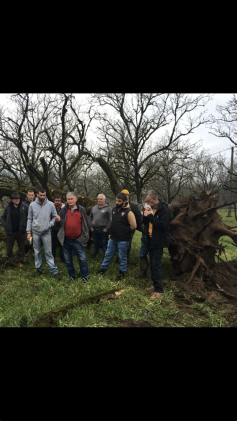 Crise de la Noix en Corrèze Chronique du lundi 27 février 2023 LE GRAL