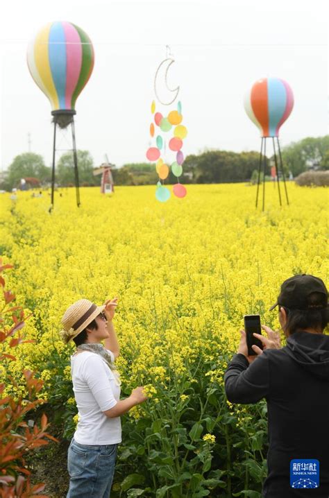 浙江吴兴：推进“赏花” 多业态融合发展中国网