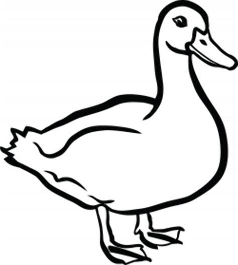 Download High Quality duck clipart black Transparent PNG Images - Art ...