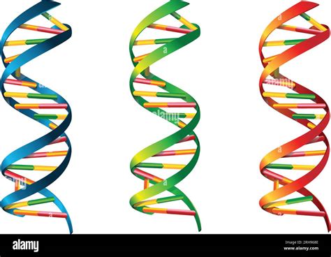 Dna Icon Dna Symbol 3d Dna Helix Symbol Gene Icon Vector