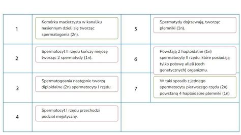 NA TERAZ Uszereguj poniższe etapy spermatogenezy w poprawnej