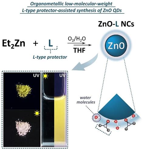 Schematic Representation Of The L Type Protector Assisted Synthetic