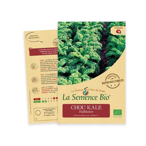 Graines De Chou Kale Halbhoher Bio Reproductibles La Semence Bio