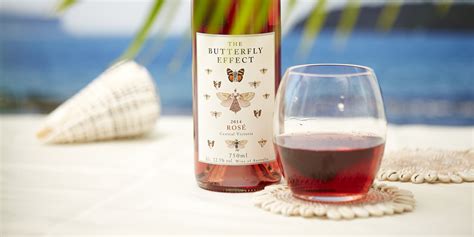 Sam Plunkett The Butterfly Effect Rose Naked Wines