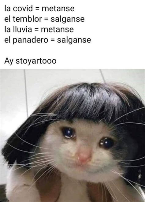 Estos Son Mejores Memes Del Bolillo Pa L Susto Despu S Del Temblor