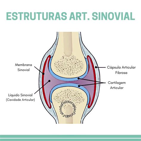 Articulação Vertical Esta Relacionada A REVOEDUCA